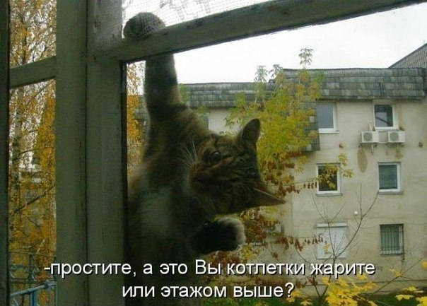    - 24  2017  03:45
