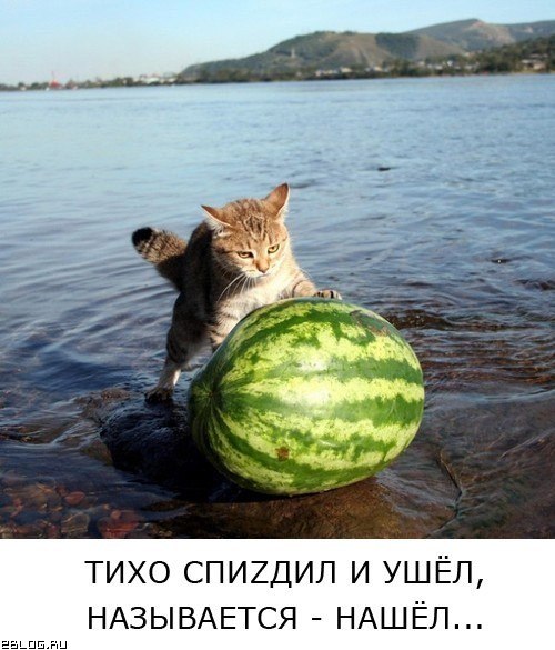  - 13  2017  20:26
