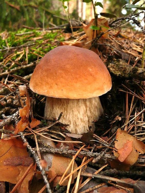 �������� �������! - 19 ������ 2017 � 11:10 - 2