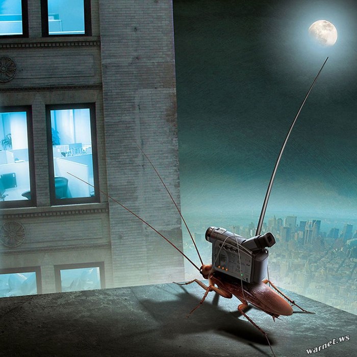 Morski Studio Graficzne  