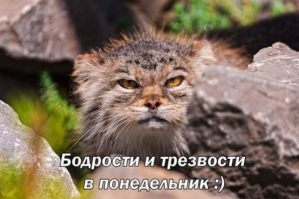 Р. ...Доброе утро, любимые обовсемчики! Говорят, еда - потребность желудка, а выпивка - потребность ...