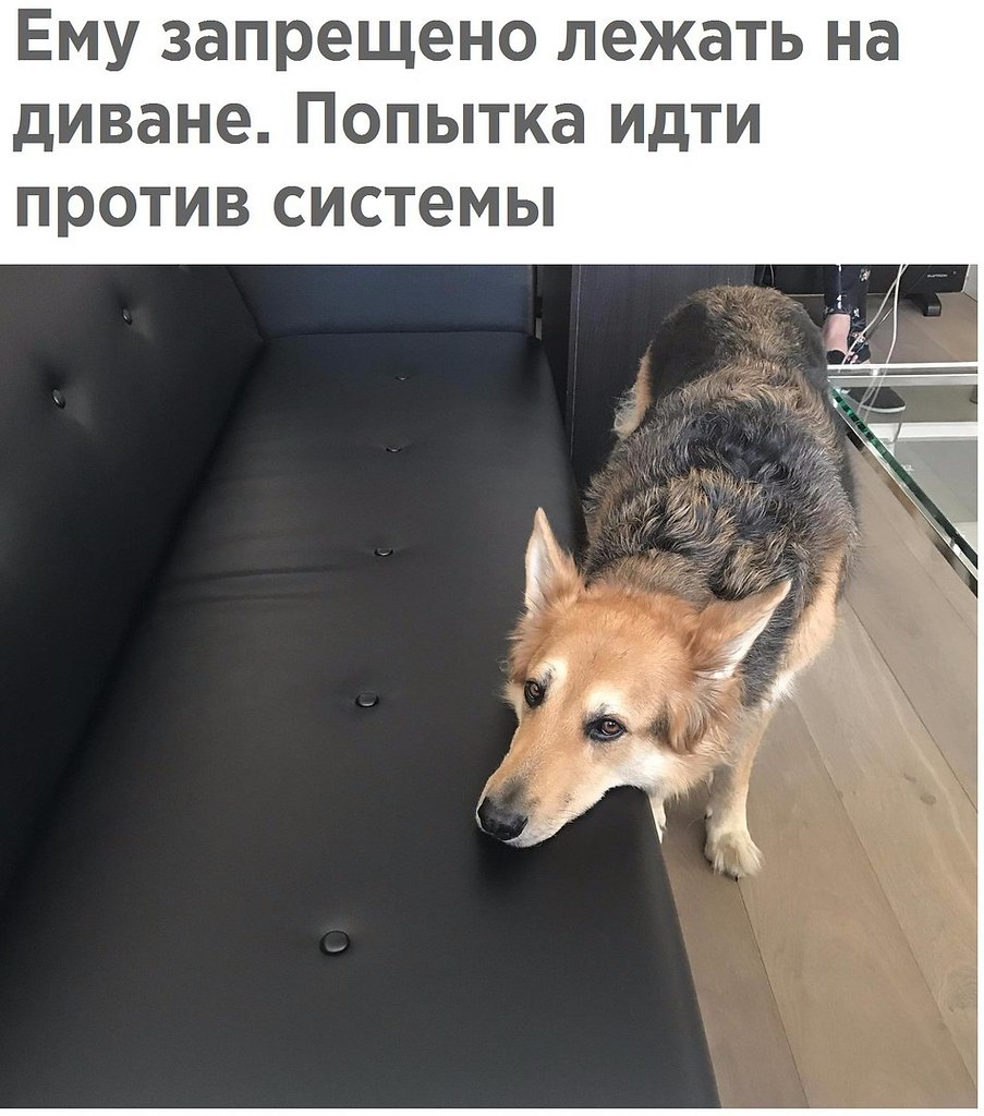  - 9  2017  11:01