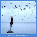 ���� ����, ������ - ��������� 28 ��� 2017 � ������ ���� ����������