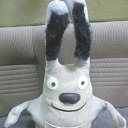 ���� ����, �����-���������, 42 ���� - ��������� 25 ���� 2017 � ������ ���� ����������