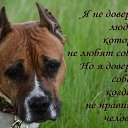 ���� Nina, ������ - ��������� 17 �������� 2017 � ������ ������ ��������