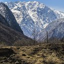 ���� Lilly, ����������� - ��������� 19 ��� 2017 � ������ ������ ��������