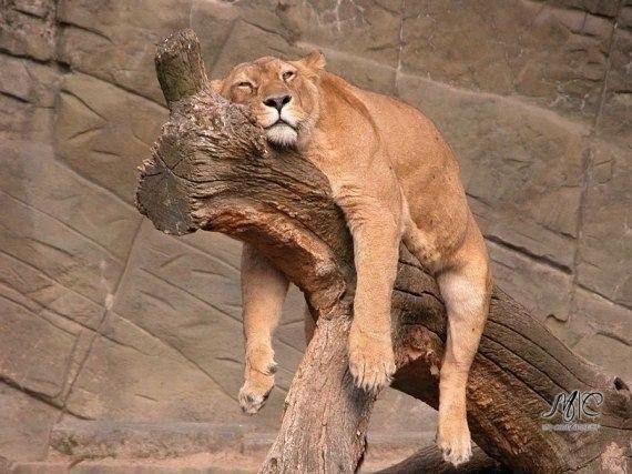 �������� �� ����������, ��� �������� ������ ��������� 20 ����� �� ����� ������ ����... � ��� � ...