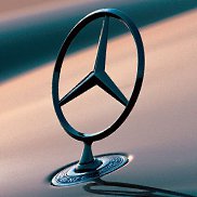 ������, 46 ���, ������