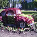  , -, 57  -  15  2017    