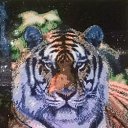 �������� �������, ������� ���� �� ���� �������� (����� ������) �� ������� ���� �������