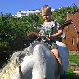 ����, �����-���������, 40 ���