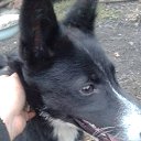 ���� �������, ����������� - ��������� 3 ������� 2017 � ������ ������� ��.�