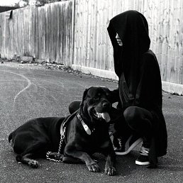 ���� Radik, ��������, 27 ��� - ��������� 28 ���� 2017