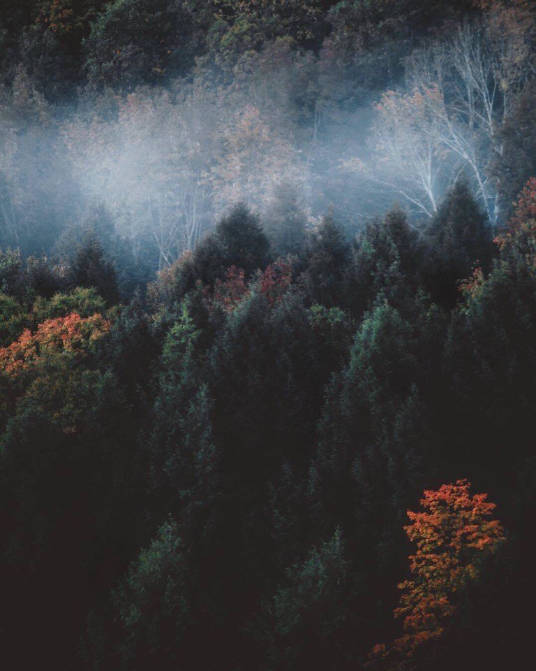       .    . - 5