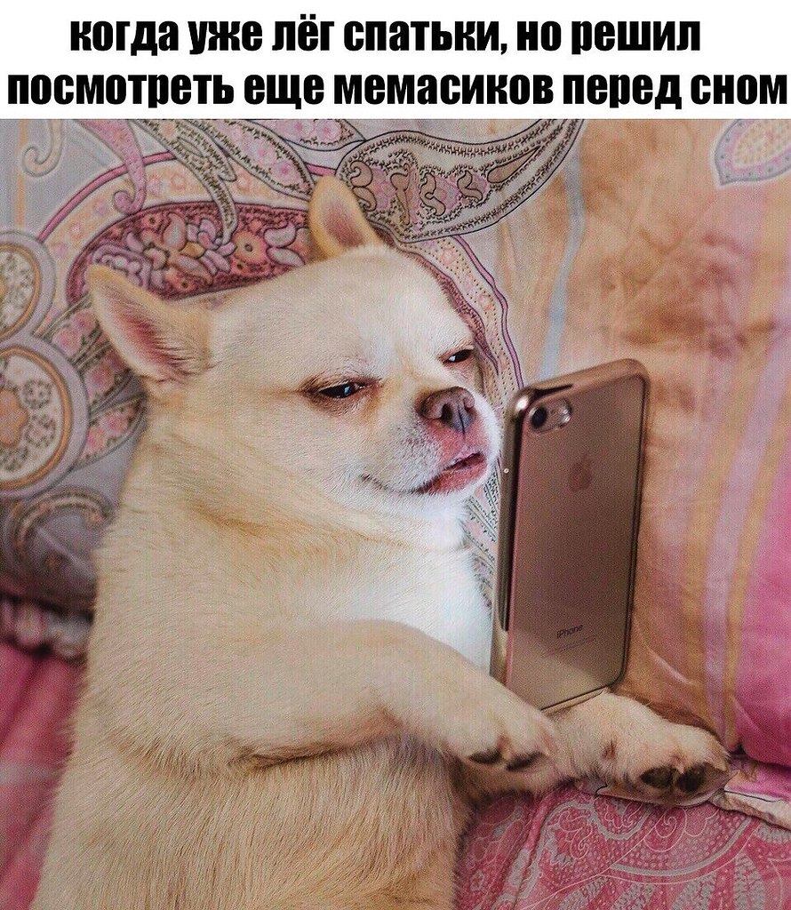  - 6  2017  19:39