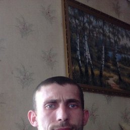 ������, ������ ��������, 38 ���