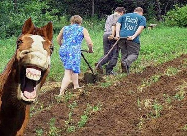 Самый лучший любовник – это... ОГОРОД! И позы разные, и семь потов сойдет, и другого не ...