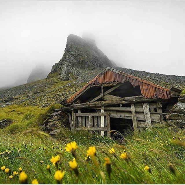  -   ! - 26  2017  07:45