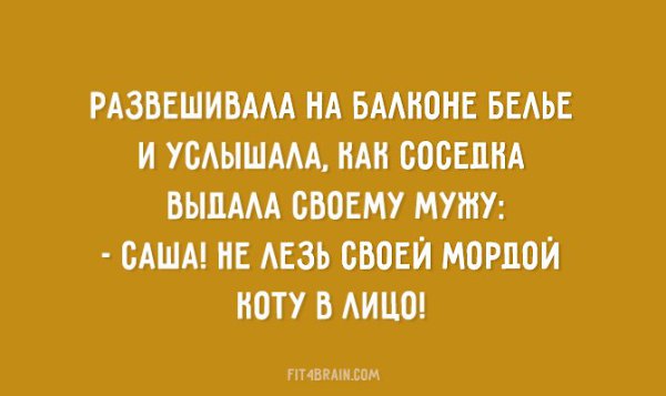      ,        .  ... - 7
