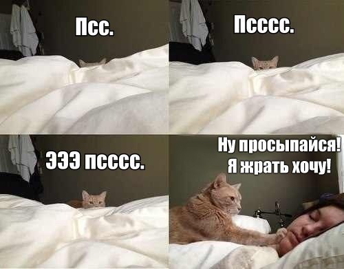      - 23  2017  06:20