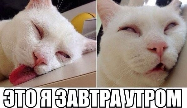 Завтра понедельник! Начну новую жизнь!!! Перестану есть мучное и сладкое, ругаться и ворчать.Поменяю ...