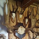 ���� Eugenijus, �������, 75 ��� - ��������� 14 ������� 2017 � ������ ���� ����������