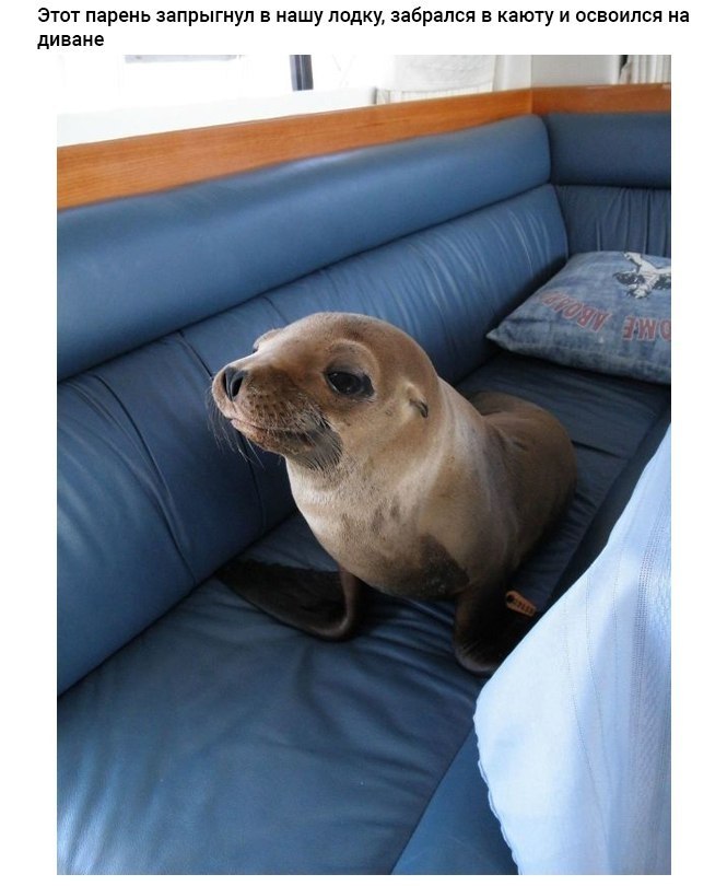 8 ,  ,  : 
