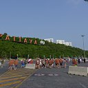  , , 65  -  6  2017    2017