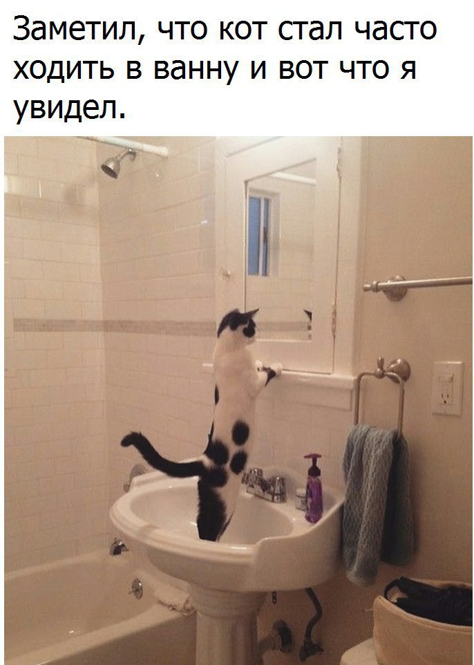       - 12  2017  14:52