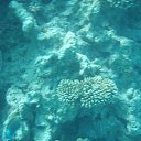 ���� ��������, �����, 57 ��� - ��������� 19 ������� 2017 � ������ ������� 2017�