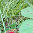 ���� �������, �����, 48 ��� - ��������� 2 ������� 2017 � ������ �Моя тачка 3D�