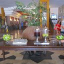 ���� ����, ����� - ��������� 22 ������� 2017 � ������ ��������� 2017 (��������)�