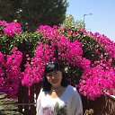  T, , 58  -  27  2017    