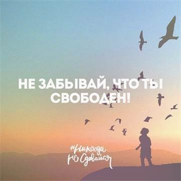  -   - 13  2017  03:19