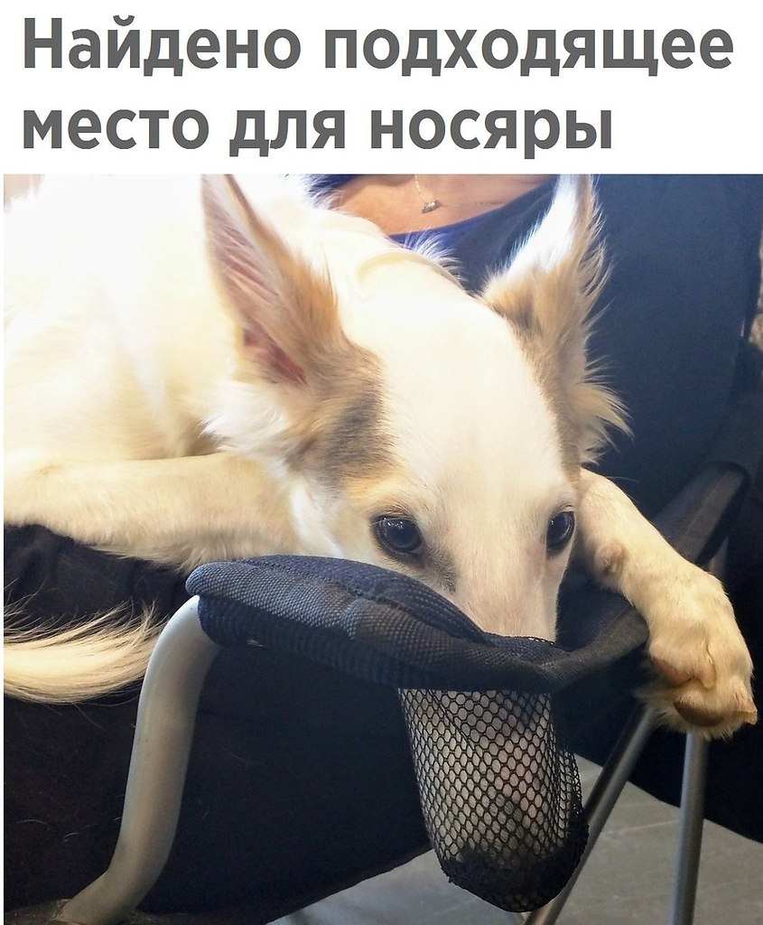   - 28  2017  12:04