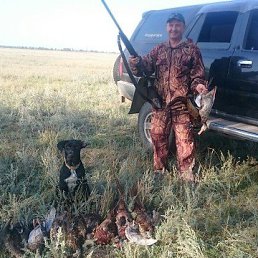 Kostelano, ����������, 57 ���