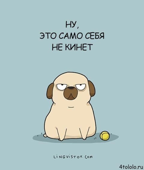 Смешные комиксы о собачьих заскоках, несмотря на которые мы всё равно их любим.#настроение@ican - 6