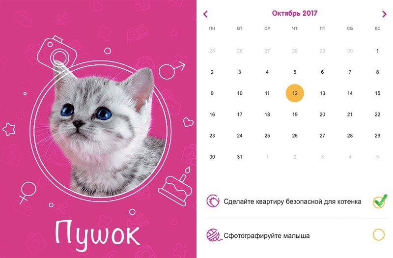  ?    https://fotostrana.ru/away?to=/sl/dhW      ...