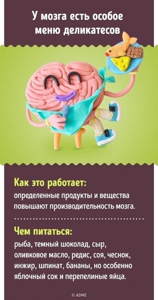 10     .  ,    #@ican - 2