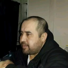 Bobur, �����-���������, 54 ����