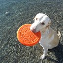  , , 60  -  2  2017   ,02.09.17. &quot;  &quot;