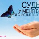 ���� ������� �����, �����������, 43 ���� - ��������� 26 ������ 2017 � ������ ������ ��������