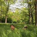 ���� �����, ������ - ��������� 30 �������� 2017 � ������ ���� ����������