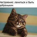���� ������, ��������, 52 ���� - ��������� 31 ���� 2017 � ������ ���� ����������