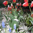 ���� ��������, ��������������, 50 ��� - ��������� 19 ������ 2017 � ������ ���� ����������