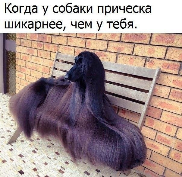  - 21  2017  15:39