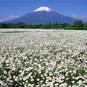 ���� ������..)), ������, 52 ���� - ��������� 26 ���� 2017 � ������ ���� ����������