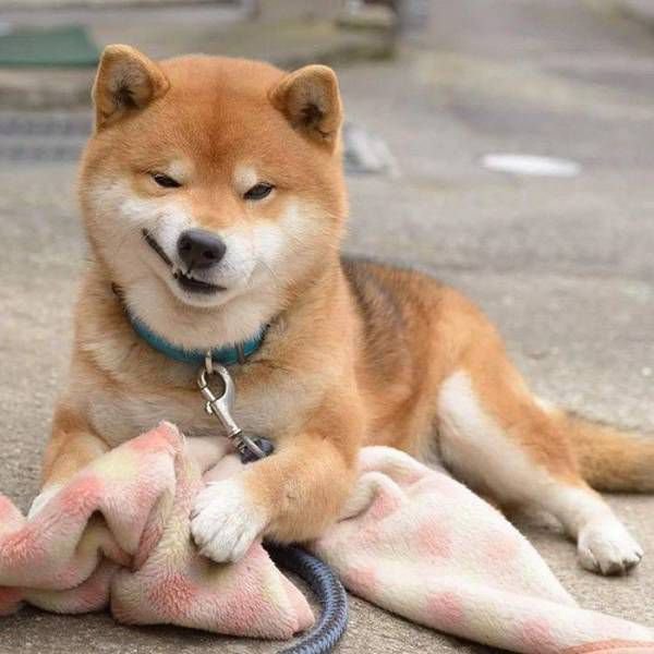 .
