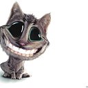 ���� ������, �����������, 65 ��� - ��������� 6 ���� 2017