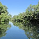 ���� �����, ����, 59 ��� - ��������� 9 ���� 2017 � ������ ���� ����������